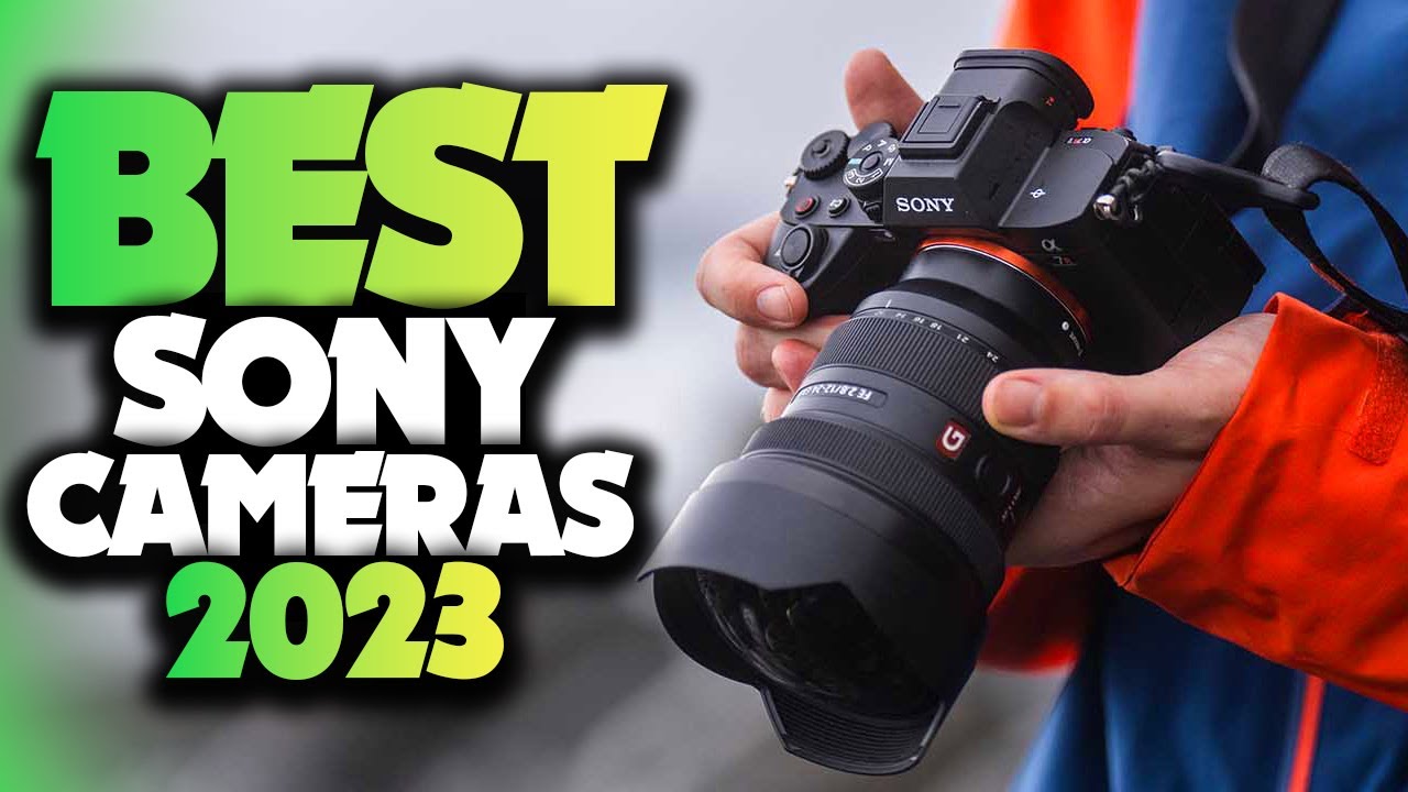 Best Sony Cameras for Wildlife Photography