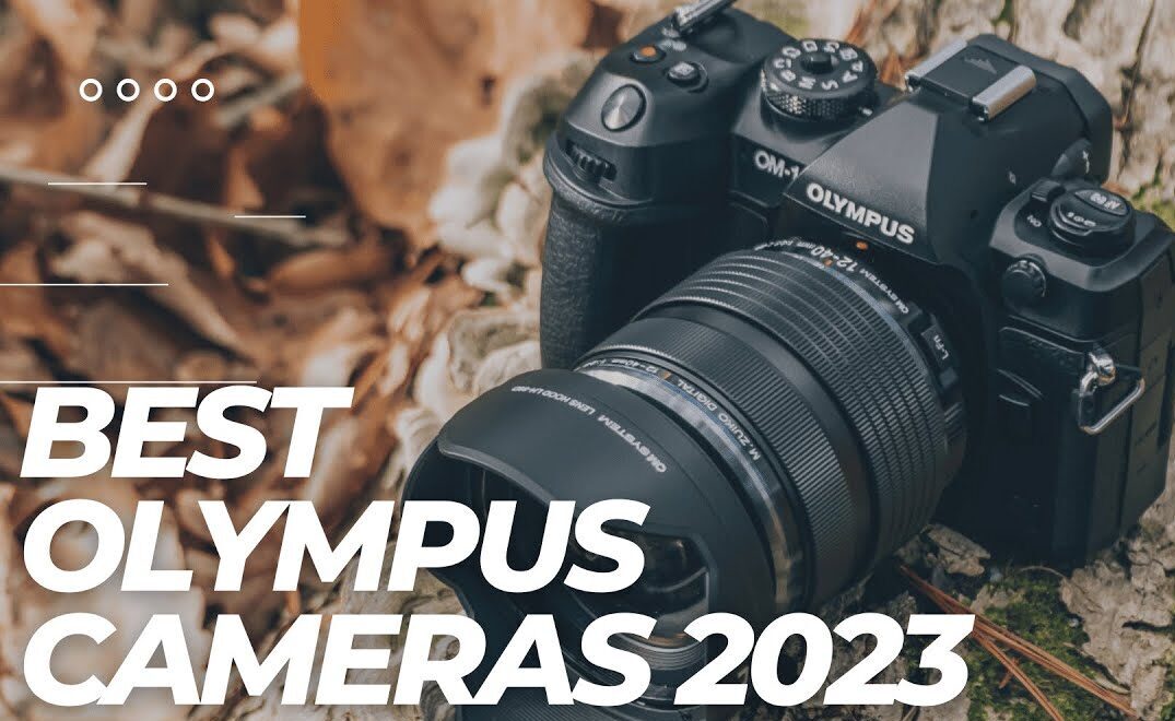 The 5 Best Budget Olympus Cameras (2024 Guide & Reviews) Best of Cameras