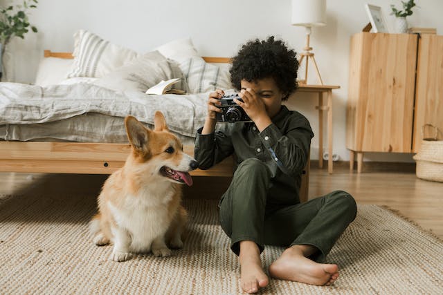 Best Cameras for Dog Photography